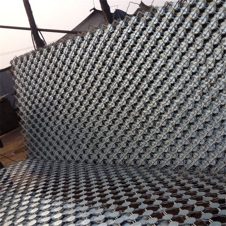 梅花刺隔離網案例展示圖片4