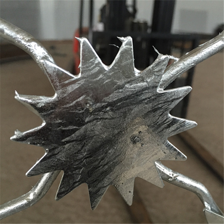 監獄鋼網墻--梅花刺隔離網案例展示圖片2