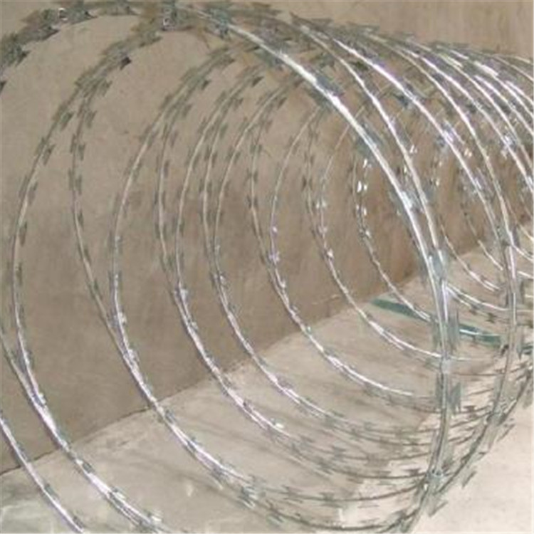 刀片刺網案例展示圖片3